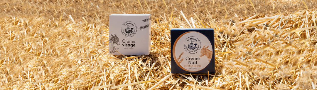 Soins visage au lait d’ânesse