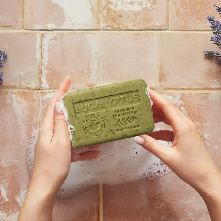 Creamy lather of an eucalyptus soap bar